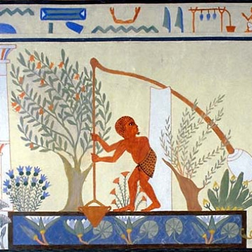 Az öntözéses földművelés jellemzése