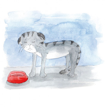 Arany János: A tudós macskája